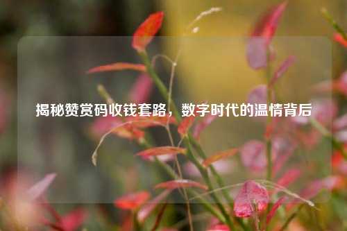 揭秘赞赏码收钱套路,数字时代的温情背后