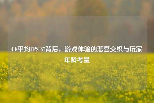 CF平均FPS 67背后,游戏体验的悲喜交织与玩家年龄考量