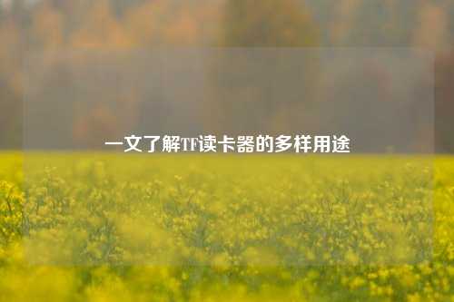 一文了解TF读卡器的多样用途