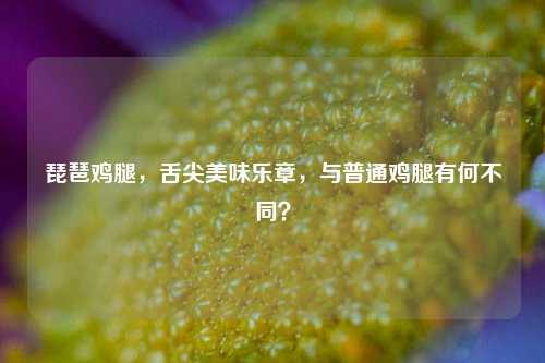 琵琶鸡腿,舌尖美味乐章,与普通鸡腿有何不同?