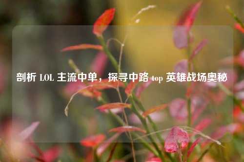 剖析 LOL 主流中单,探寻中路 top 英雄战场奥秘