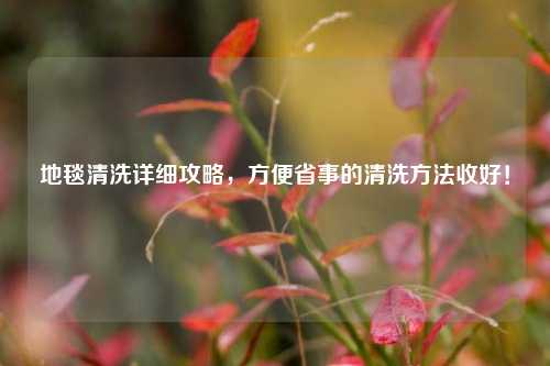 地毯清洗详细攻略，方便省事的清洗 *** 收好！