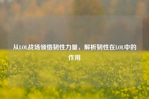 从LOL战场领悟韧性力量，解析韧性在LOL中的作用