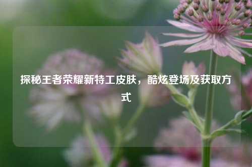 探秘王者荣耀新特工皮肤，酷炫登场及获取方式