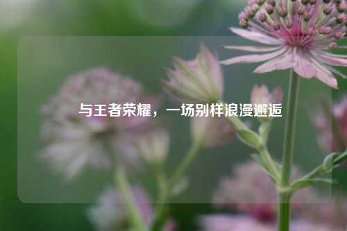 囍与王者荣耀，一场别样***