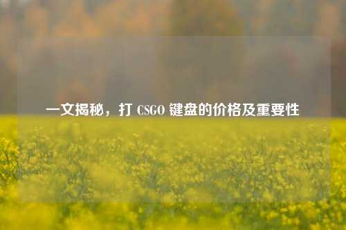 一文揭秘,打 CSGO 键盘的价格及重要性