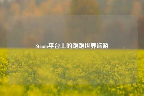 Steam平台上的跑跑世界端游