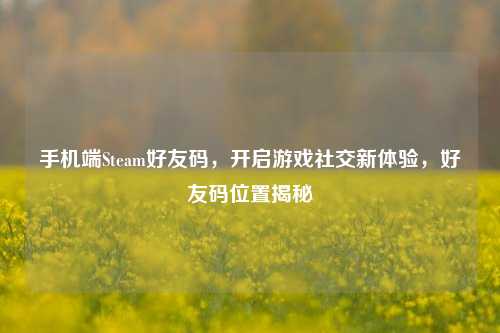 手机端Steam好友码，开启游戏社交新体验，好友码位置揭秘