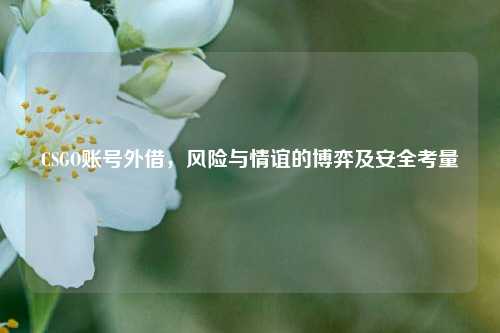 CSGO账号外借，风险与情谊的博弈及安全考量