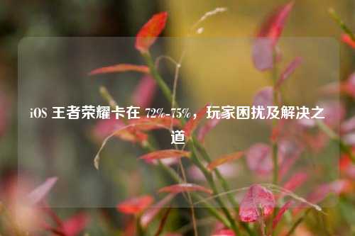 iOS 王者荣耀卡在 72%-75%，玩家困扰及解决之道