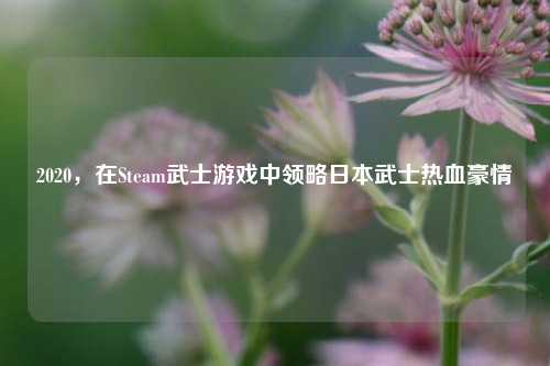 2020,在Steam武士游戏中领略日本武士热血豪情