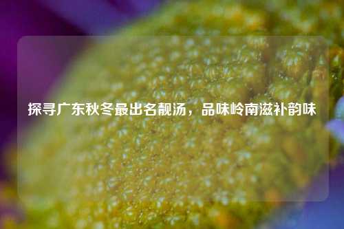 探寻广东秋冬最出名靓汤,品味岭南滋补韵味