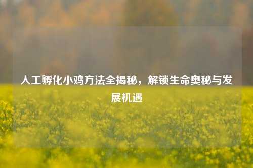 人工孵化小鸡 *** 全揭秘，解锁生命奥秘与发展机遇