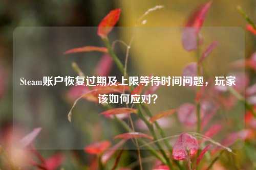 Steam账户恢复过期及上限等待时间问题，玩家该如何应对？