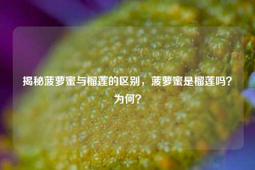 揭秘菠萝蜜与榴莲的区别，菠萝蜜是榴莲吗？为何？