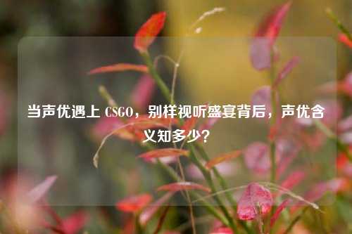 当声优遇上 CSGO，别样视听盛宴背后，声优含义知多少？