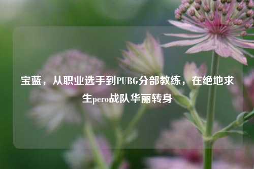 宝蓝,从职业选手到PUBG分部教练,在绝地求生pero战队华丽转身