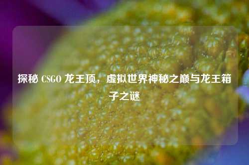 探秘 CSGO 龙王顶,虚拟世界神秘之巅与龙王箱子之谜
