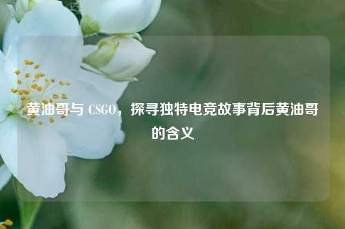 黄油哥与 CSGO，探寻独特电竞故事背后黄油哥的含义