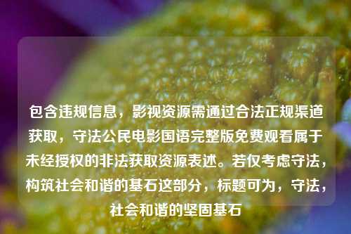 包含违规信息,影视资源需通过合***规渠道获取,守法公民电影国语完整版免费观看属于未经授权的非法获取资源表述。若仅考虑守法,构筑社会和谐的基石这部分,标题可为,守法,社会和谐的坚固基石