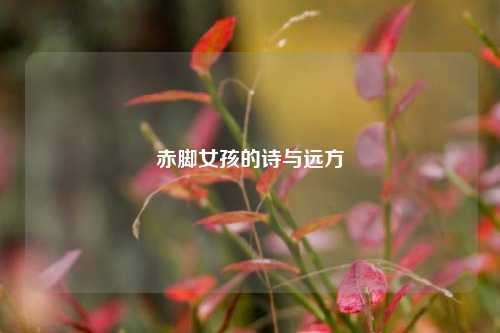 赤脚女孩的诗与远方
