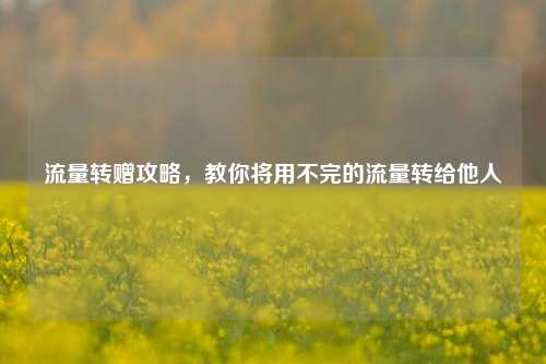 流量转赠攻略，教你将用不完的流量转给他人