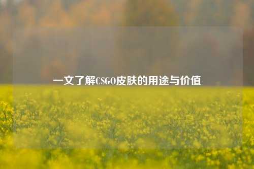 一文了解CSGO皮肤的用途与价值