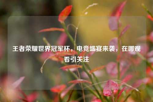 王者荣耀世界冠军杯，电竞盛宴来袭，在哪观看引关注