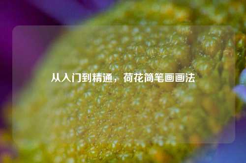 从入门到精通,荷花简笔画画法