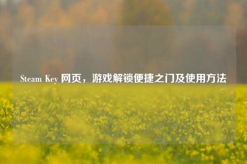 Steam Key 网页，游戏解锁便捷之门及使用 *** 