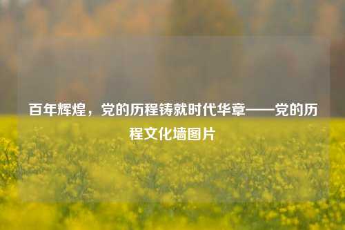 百年辉煌,党的历程铸就时代华章——党的历程文化墙图片