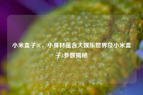 小米盒子3C,小身材蕴含大娱乐世界及小米盒子3参数揭秘
