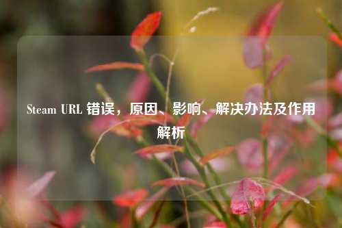 Steam URL 错误，原因、影响、解决办法及作用解析