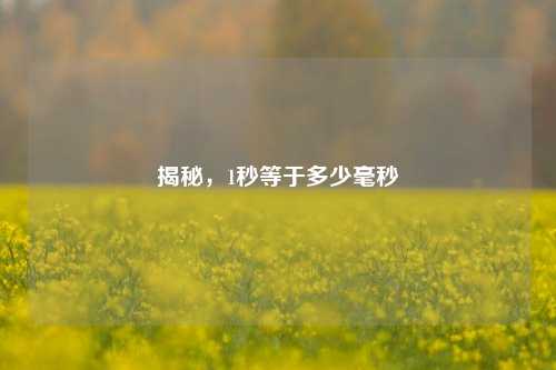 揭秘,1秒等于多少毫秒