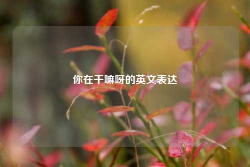 你在干嘛呀的英文表达