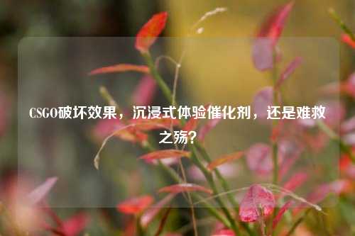 CSGO破坏效果，沉浸式体验催化剂，还是难救之殇？