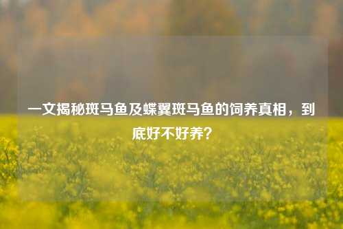 一文揭秘斑马鱼及蝶翼斑马鱼的饲养真相,到底好不好养?