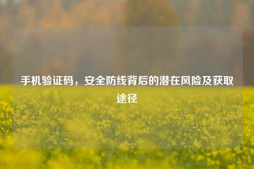 手机验证码，安全防线背后的潜在风险及获取途径