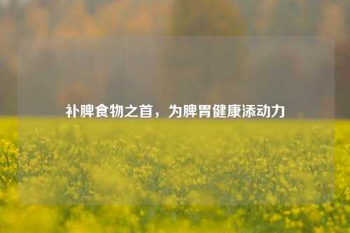 补脾食物之首,为脾胃健康添动力