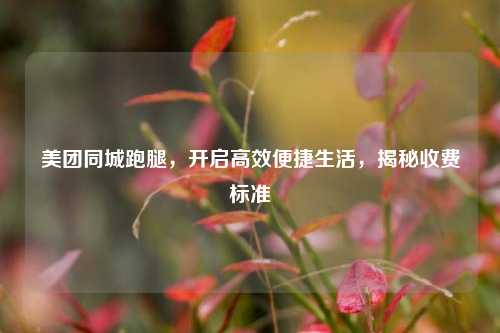 美团同城跑腿,开启高效便捷生活,揭秘收费标准