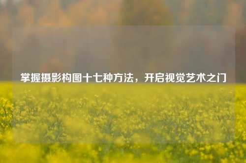 掌握摄影构图十七种 *** ,开启视觉艺术之门