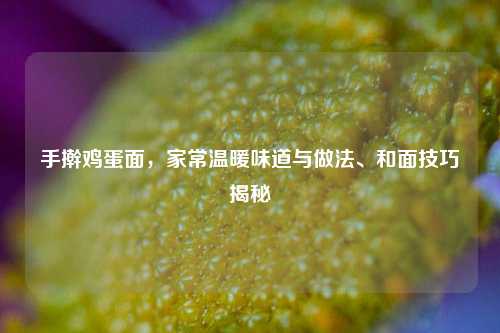 手擀鸡蛋面,家常温暖味道与做法、和面技巧揭秘