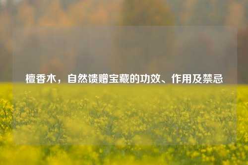 檀香木，自然馈赠宝藏的功效、作用及禁忌