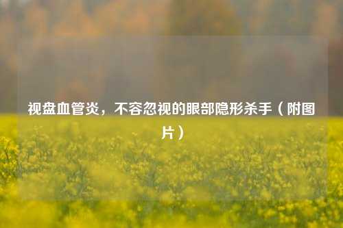 视盘血管炎,不容忽视的眼部隐形杀手(附图片)