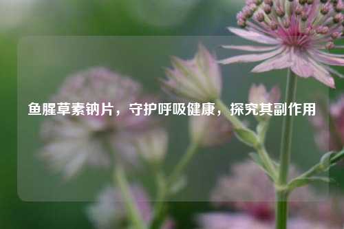 鱼腥草素钠片，守护呼吸健康，探究其副作用