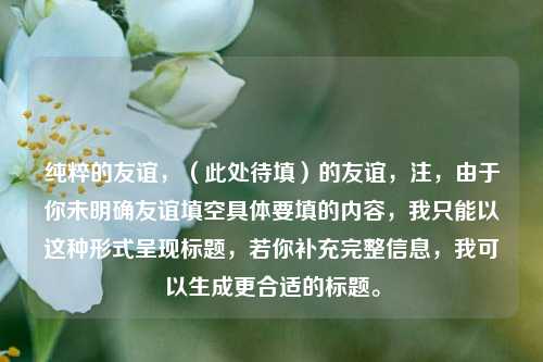 纯粹的友谊,(此处待填)的友谊,注,由于你未明确友谊填空具体要填的内容,我只能以这种形式呈现标题,若你补充完整信息,我可以生成更合适的标题。