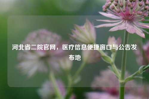河北省二院官网,医疗信息便捷窗口与公告发布地