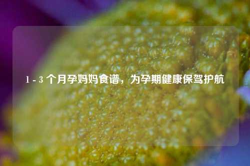 1 - 3 个月孕妈妈食谱，为孕期健康保驾护航