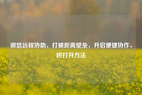 微信远程协助,打破距离壁垒,开启便捷协作,附打开 ***