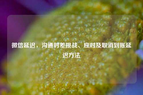 微信延迟，沟通时差挑战、应对及取消到账延迟 *** 